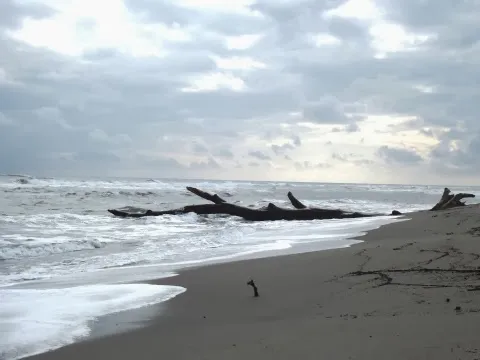 Photographie de la plage d'Aléria