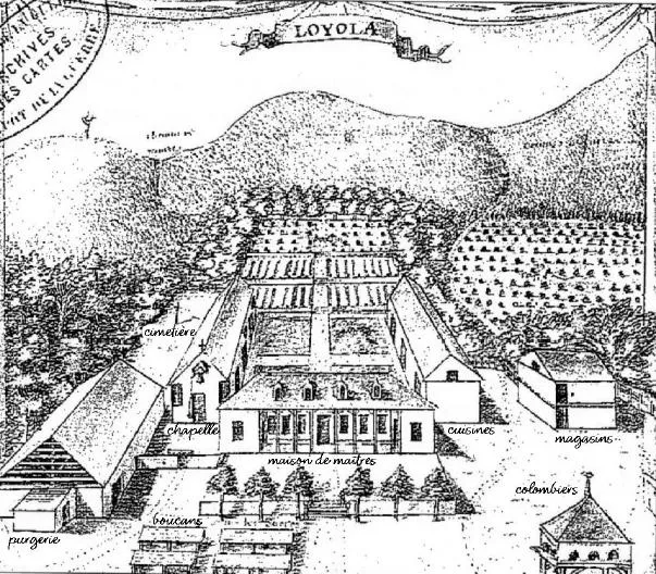 Dessin représentant habitation Loyola